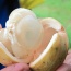 Bòn bon loại 1, sản phẩm an toàn